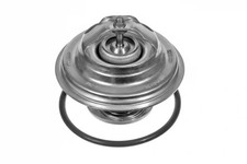 Thermostat Audi V8