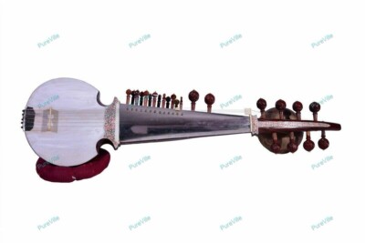 Instrument Special Sarod With Tumba - Ali Akbar Khan Style With Fibre Case