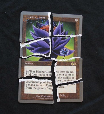 Blacker lotus ботания