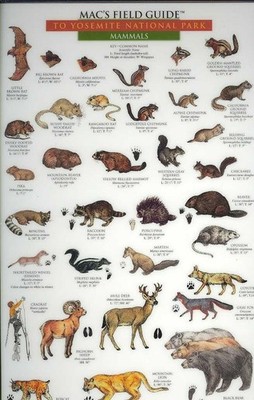 Mac's Field Guides: Yosemite Birds & Mammals by Craig Macgowan (English) Paperba