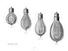 Antique Lamp Light Bulb Private Catalog Collection Edison Westinghouse Filament