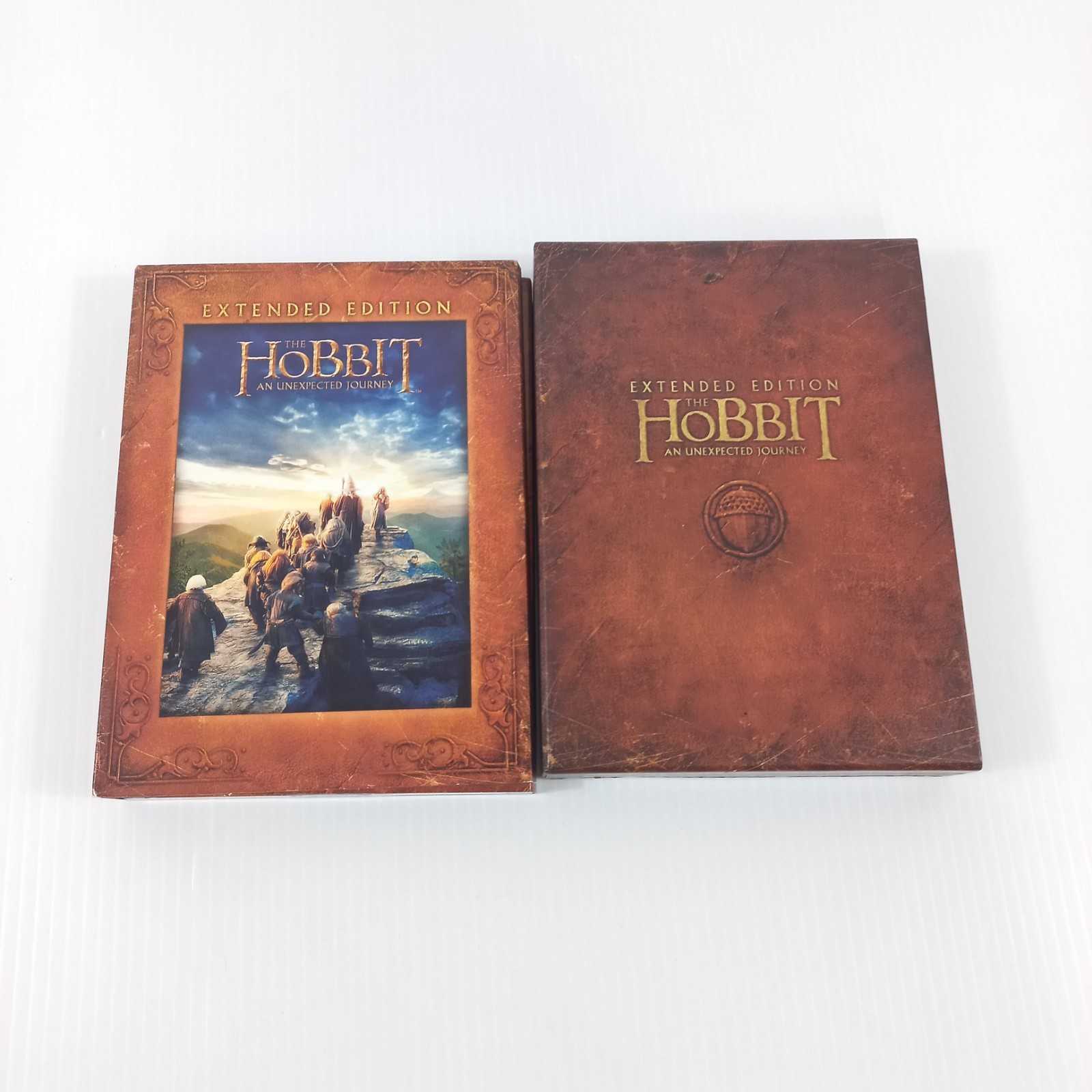 The Hobbit: An Unexpected Journey - Extended Edition [DVD] [2012]