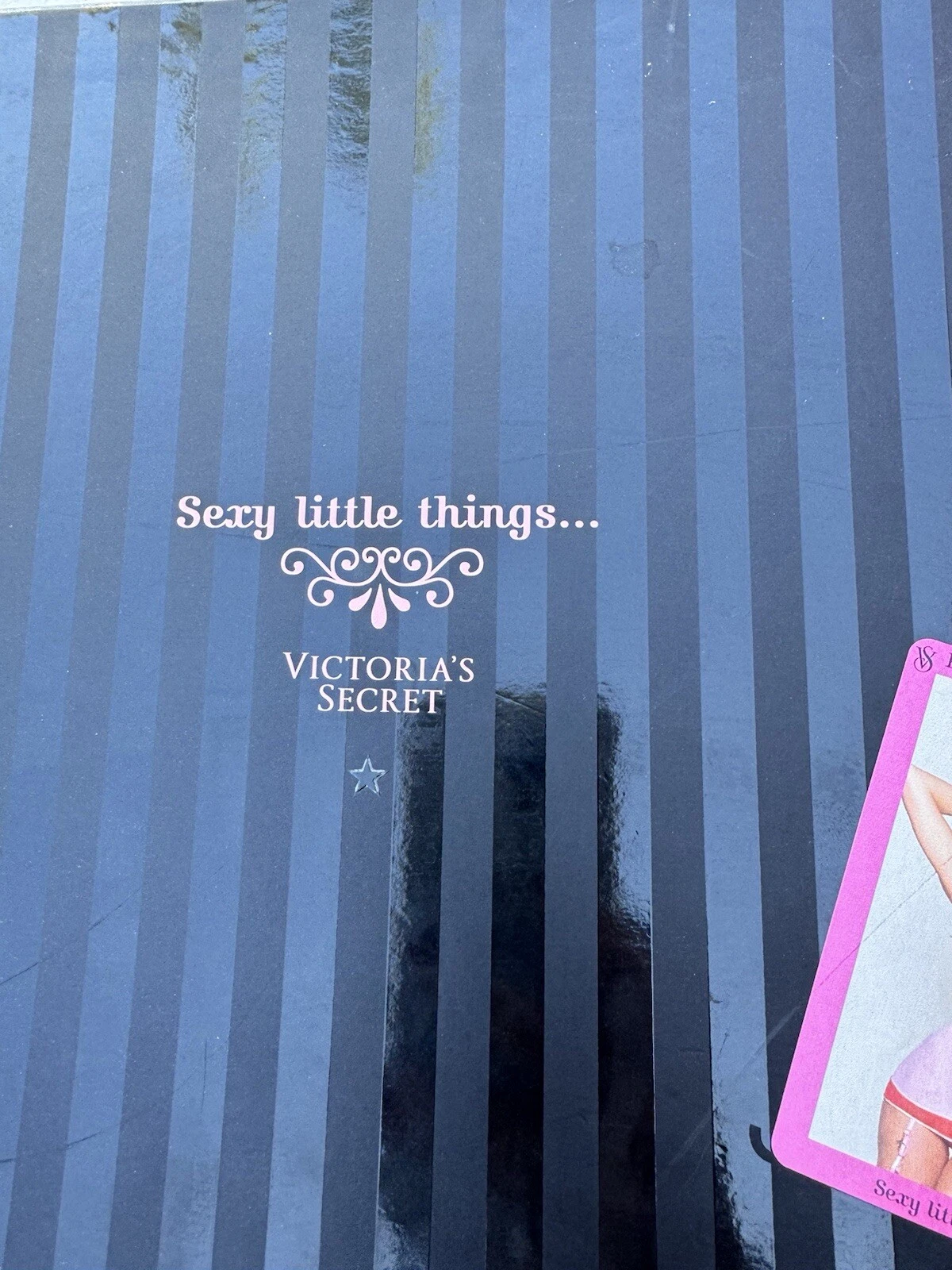 UNDERCOVER Costume assistente di volo Victoria's Secret Little Things VS Little Things