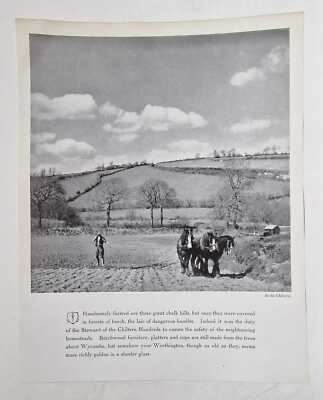 WORTHINGTON Shire Horses in the Chilterns (Vintage Photo Advertising Page, 1937)
