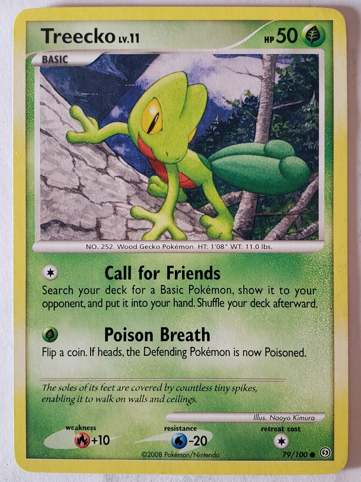 Treecko 79/100 VLP - Stormfront Pokemon Card - Naoyo Kimura Art