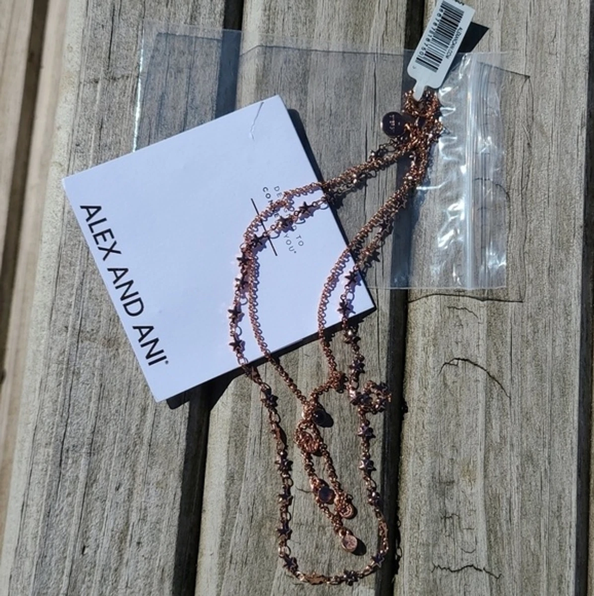 Alex and ani store layered necklace