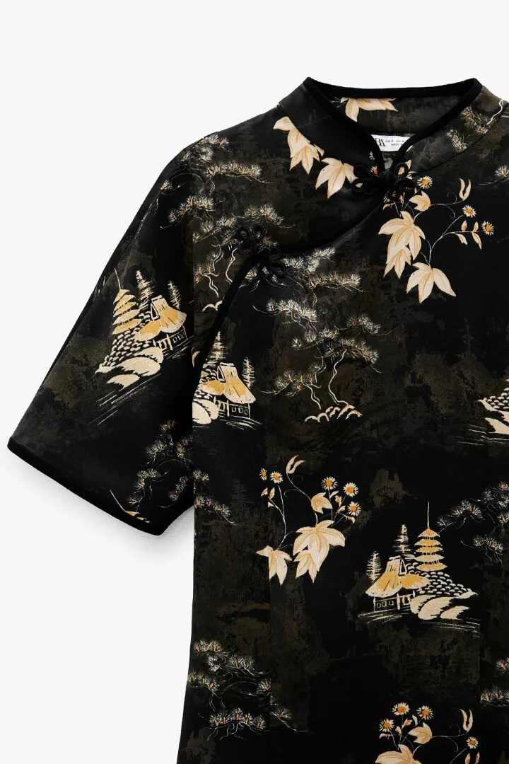 Zara clearance chinese dress