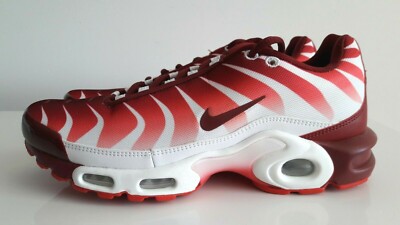 air max after the bite