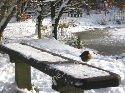 Photo 6x4 A seat in the snow Biddulph This is the same seat seen in very  c2010