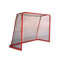 Master Tornetz 120 X 90 Cm FüR Unihockey