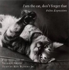 I Am the Cat, Don't Forget That: Feline Expressions - Hardcover - GOOD