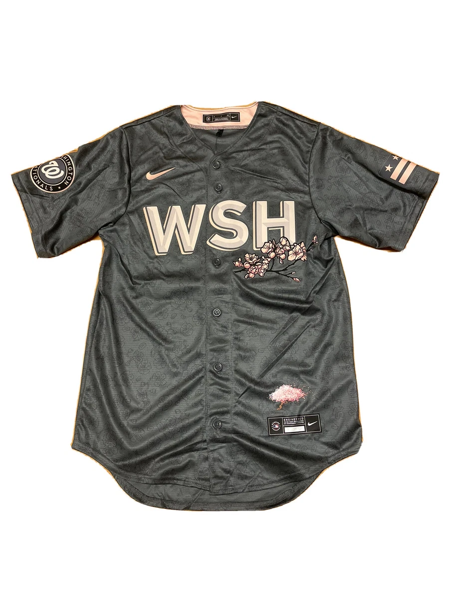 Nike Juan Soto #22 Washington Nationals Cherry Blossom Jersey Gray