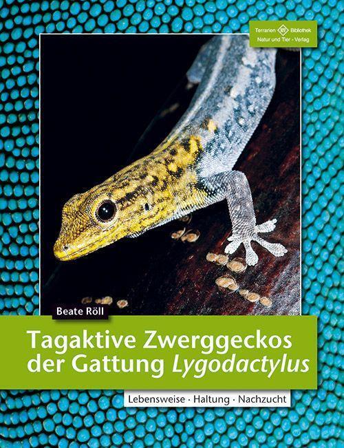 Thumbnail - Beate Röll | Tagaktive Zweggeckos Der Gattung Lygodactylus |