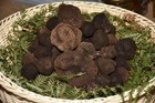 Foto 3 di 6