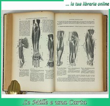 libro anatomia fisiologia umana zoologia ANATOMIE ET PHYSIOLOGIE HUMAINES Pizon