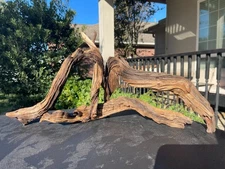 DRIFTWOOD MOPANI AQUARIUMS FISH REPTILES ART PET SUPPLIES GARDEN AQUASCAPING