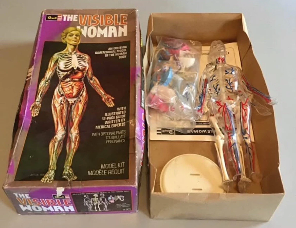 visible woman products for sale | eBay