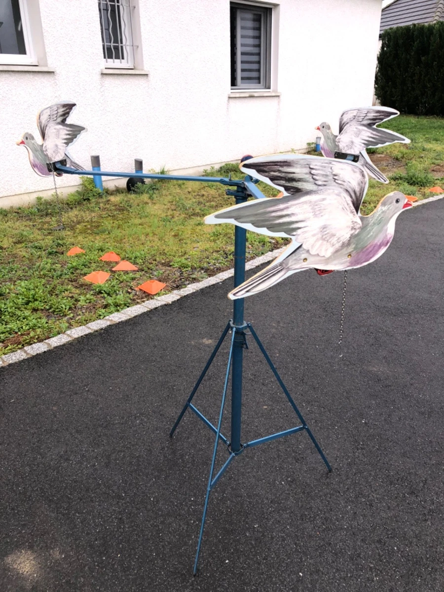 Le jeu de sarbacane à Saint-Étienne - Persée