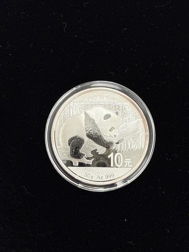 2016 China Silver Panda Coin 10Y 30 g  Ag .999 in Capsule ~ Excellent Condition