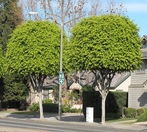 About  Benjamina Ebuehi