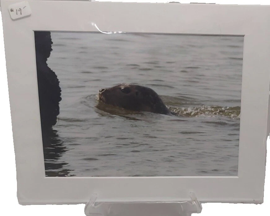 Limited Edition Art Photographs