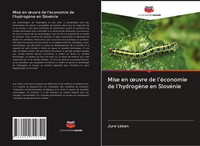 Jure Leben | Mise En ¿Uvre De L'éConomie De L'hydrogèNe En SlovéNie | Buch