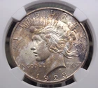 1923 "D" Peace SILVER Dollar $1 NGC AU58 #004 About Uncirculated ECC&C, Inc.