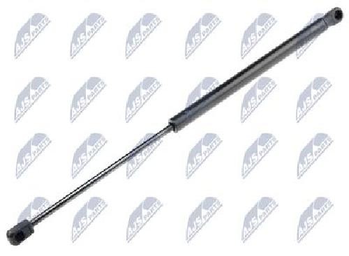 Original NTY Gasfeder Koffer-/Laderaum AE-CT-042 FüR CitroëN Peugeot-image