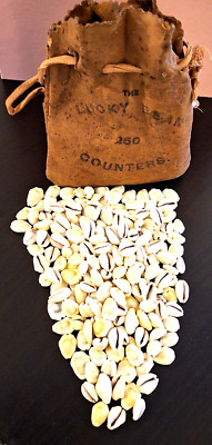 VINTAGE 195 KAURIMUSCHELN IN ANTIKEM GLÜCKSMANN THEKEN LEDERSACK TASCHE.
