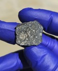 2026 Béni Abbès Meteorite Fall 3.127g Polished Slice w/ Fusion Crust COA — photo 3
