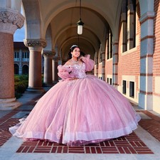 Custom Pink Quinceanera Dress Ball Gown 3DFloral Applique Beading Corset Sweet16