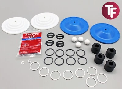 Graco D05911 Wet End Service Kit (Polypropylen/PTFE) für Husky 515 & 716