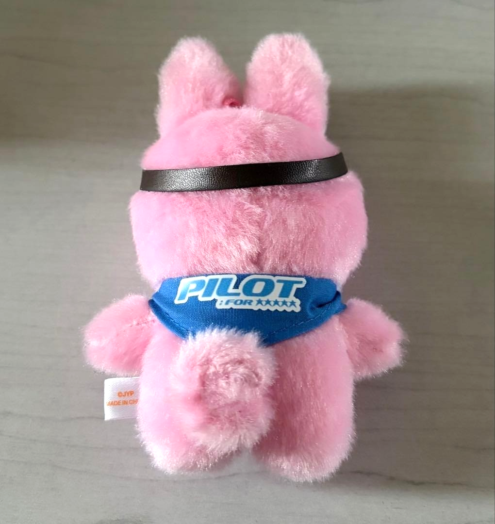 Stray Kids Changbin DWAEKKI Official SKZOO PLUSH 10CM Ver. PILOT