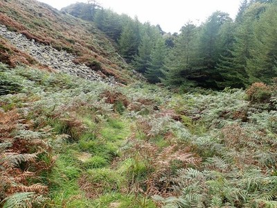 Photo 6x4 Approaching the forest boundary fence on the top section of the c2017