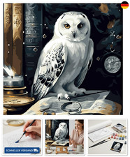 Malen Nach Zahlen Set F&uuml;r Erwachsene Kinder M&auml;dchen Ab 7 Jahren Eule Malen Nach