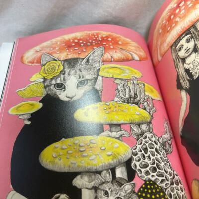 Higuchi Yuko Art Works Illustration Book First collection of works
