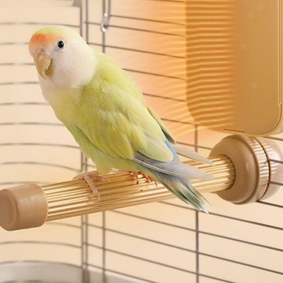 Beheizter Vogelbarsch Kompakt Vogelkäfig Zubehör für Ara Nymphensittich kleine Vögel