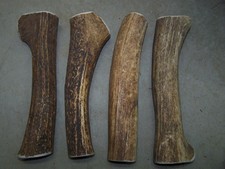 4 X-Large Elk antler dog chew lot, not splits, these are whole sections, 9"