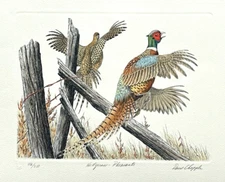 RARE Chapple HEDGEROW PHEASANTS 15"x18" SIGNED Hand-Tinted Etching 116/250 COA