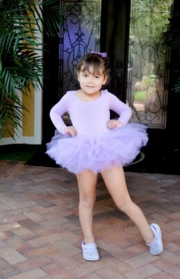 Purple Lavender Fairy Girls Tutu Leotard Size 4/5 4T 5T Light purple  Birthday