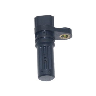 ボンタン s-l400.jpg