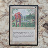 Magic: The Gathering Serra Aviary Homelands Enchantment 1995 Nicola Leonard