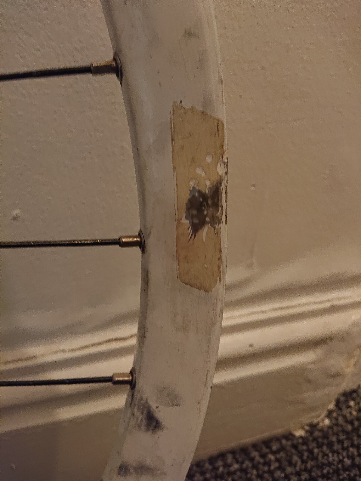 Picture 4 of 4