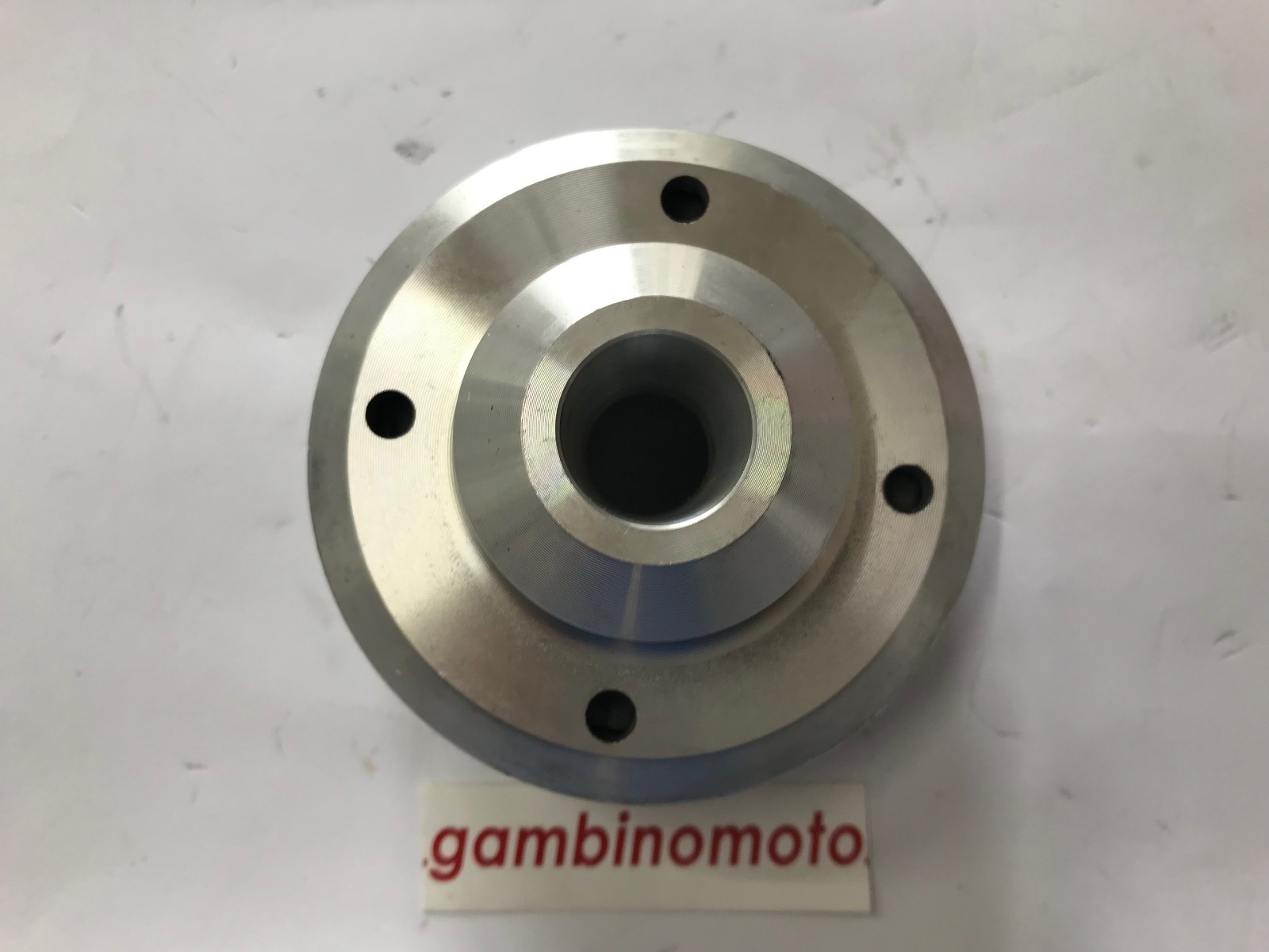 FRIZIONE A DISCHI RL 308 MECCANICA BENASSI