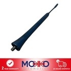 Foto 3 di 3