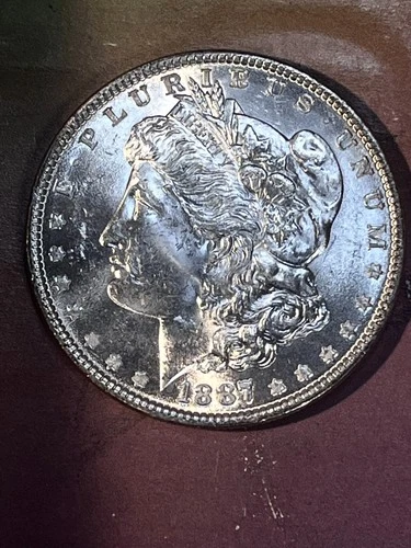 1887 P  Morgan Dollar CH  BU+ ,WHITE BLAZING LUSTER (9) start .99