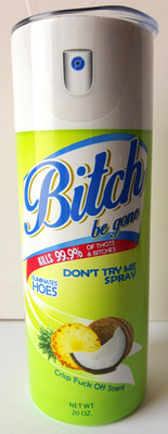 24Oz BITCH BE GONE Lysol Parody Stainless Steel Tumbler Straw Clear CLOSABLE Lid
