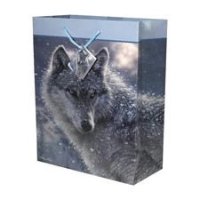 Rivers Edge Products Medium Gift Bag, 10" x 5" x 13" Birthday Present Bag With