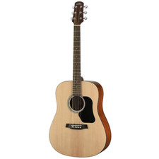 Walden D350 W - Acoustic Guitar