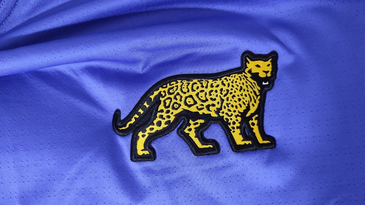 UAR Nike Argentina Rugby Pumas Men's Slim Fit Match Jersey UAR Nike Argentina Rugby Pumas Men's Slim Fit Match Jersey